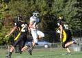 Mtown JV048
