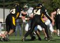 Mtown JV051