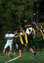 Mtown JV053