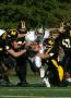 Mtown JV069