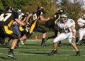 Mtown JV070