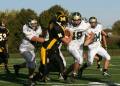 Mtown JV080