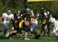 Mtown JV096