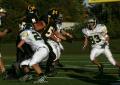 Mtown JV113