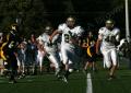 Mtown JV119