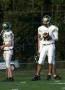 Mtown JV124