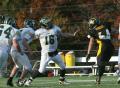Mtown JV141