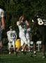 Mtown JV153