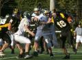 Mtown JV156