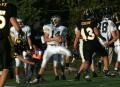 Mtown JV163