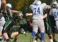 NBur JV008