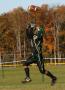 Shaw Soph048
