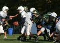Shaw Soph078
