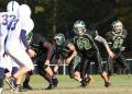 Shaw Soph089