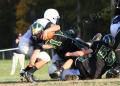 Shaw Soph091