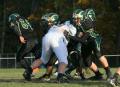 Shaw Soph103
