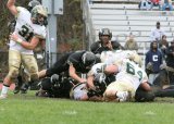 BURtwp113