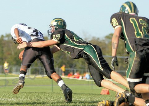 EggH Soph026