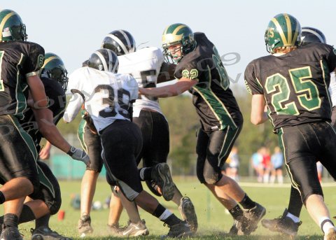 EggH Soph028