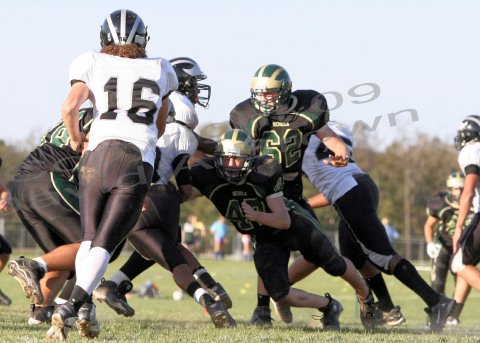 EggH Soph029