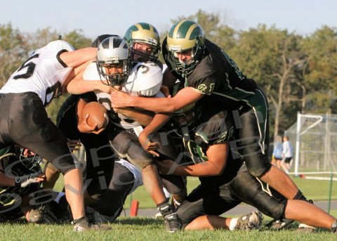 EggH Soph035