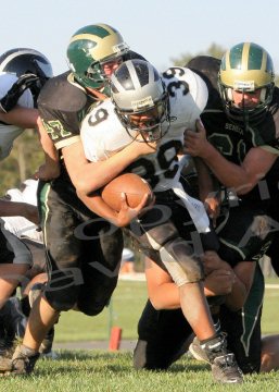 EggH Soph036