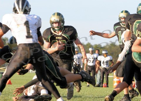 EggH Soph055