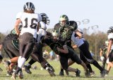 EggH Soph029