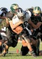 EggH Soph036