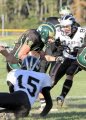 EggH Soph042