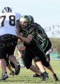 EggH Soph048