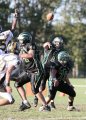MtownJV043