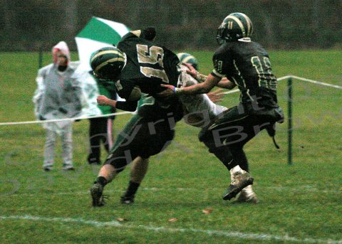 Piney Bowl113