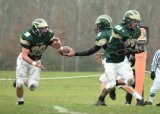 Piney Bowl013