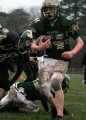 Piney Bowl106