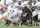ShawJV041
