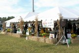 Tailgate Party 09009