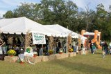 Tailgate Party 09011