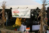 Tailgate Party 09019