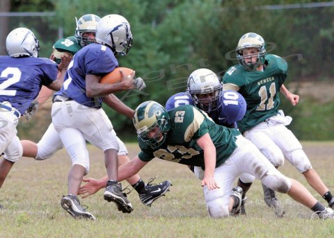 TcreekFR054