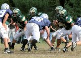 TcreekFR039