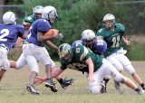 TcreekFR054
