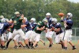 TcreekFR137