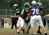 TcreekFR146