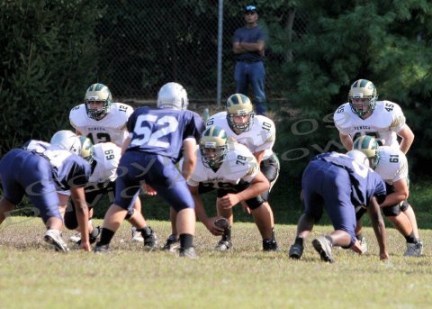 TcreekJV001
