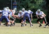 TcreekJV002