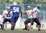 TcreekJV031