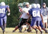 TcreekJV076