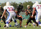 TritonJV025