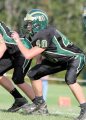 TritonJV080